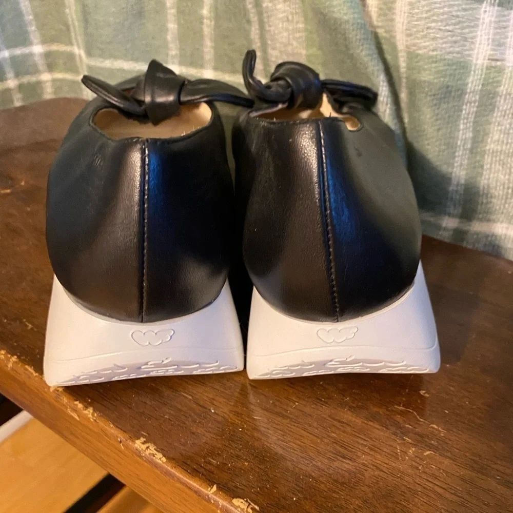 Wonders fly wedge